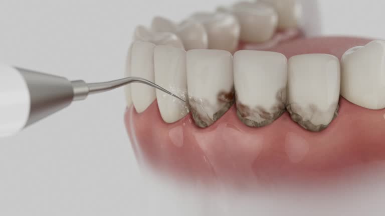 Reliable Dental contractor in St. Albans, WV by Dentist Open Now